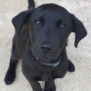 Meet your Posher, Grayson